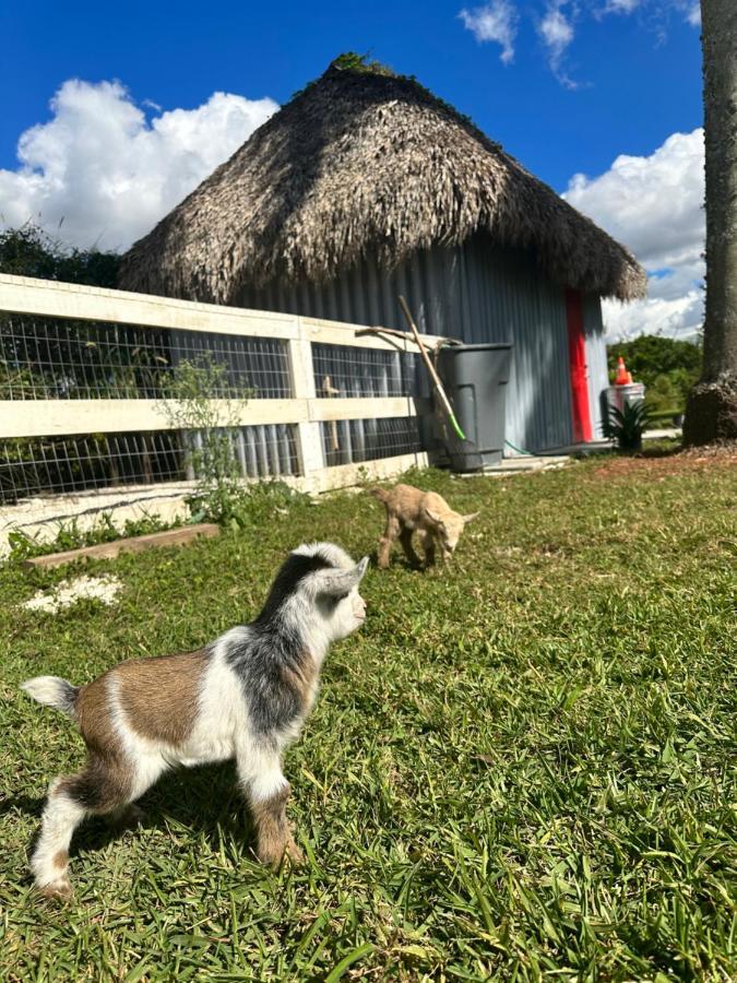 Arritola B And B Ranch Homestead Ngoại thất bức ảnh
